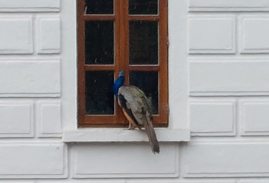 Eindrücke