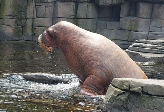 Eindrücke des Zoos