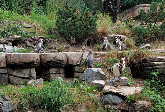 Eindrücke des Zoos