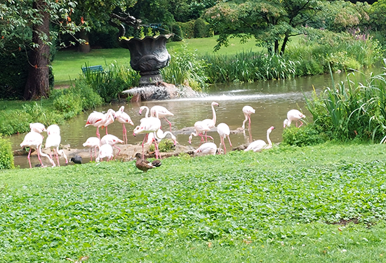 Eindrücke des Zoos