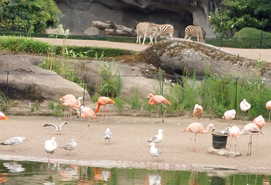 Eindrücke des Zoos